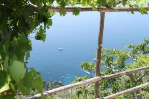 Sorrento Amalia