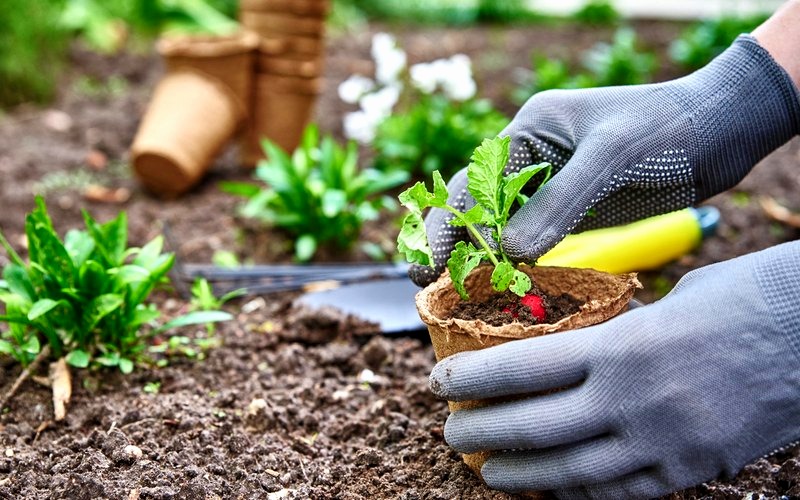 Smart Garden Idroponica